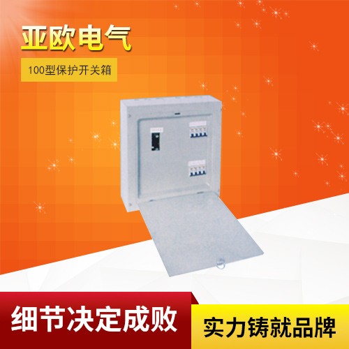 100型保护开关箱
